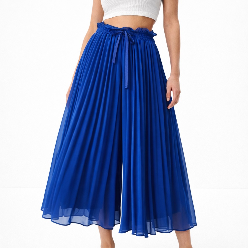 Zara Royal Blue Pants Skirt